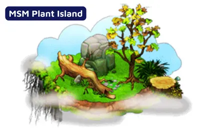 MSM Plant Island